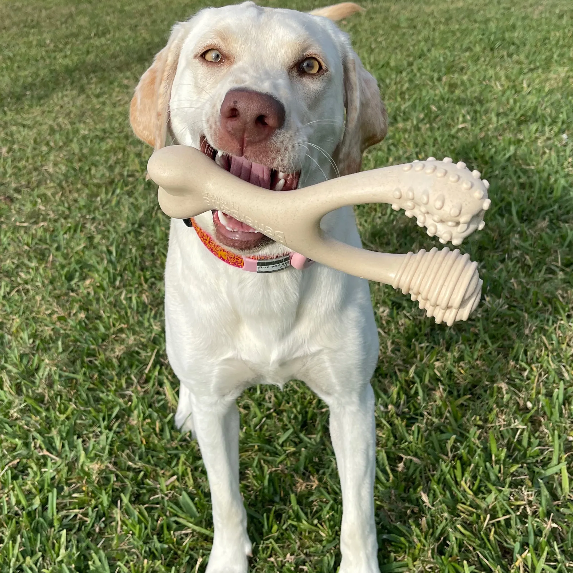 betterbone classic soft chew toy - 2 sizes