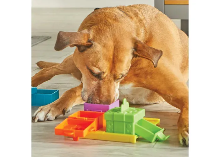 Brightkins - Surprise Party! Treat Puzzle (For Dogs)