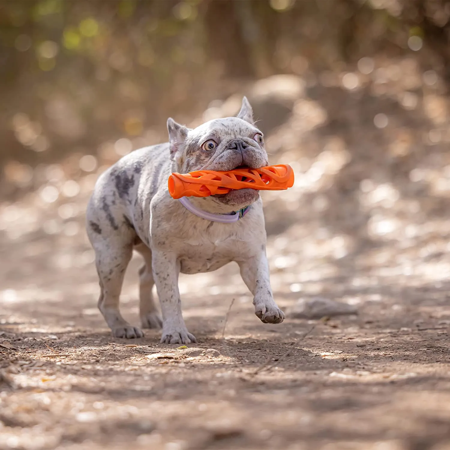 Chuckit - Breathe Right Fetch Stick Dog Toy