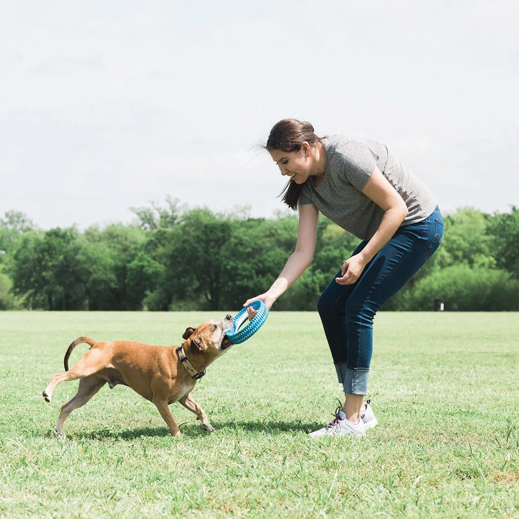 Chuckit! Rugged Fetch Wheel