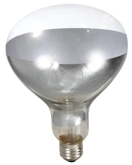 Clear Heat Lamp Bulb, 250 Watt