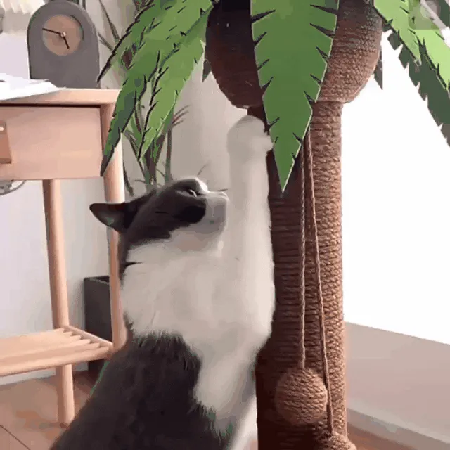 Coconut Style Cat Tree Scratching Post With Hammock