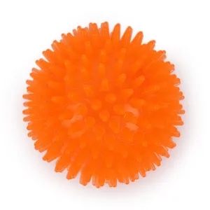 Dear Pet Squeaker Ball with Thorns Dog Toy