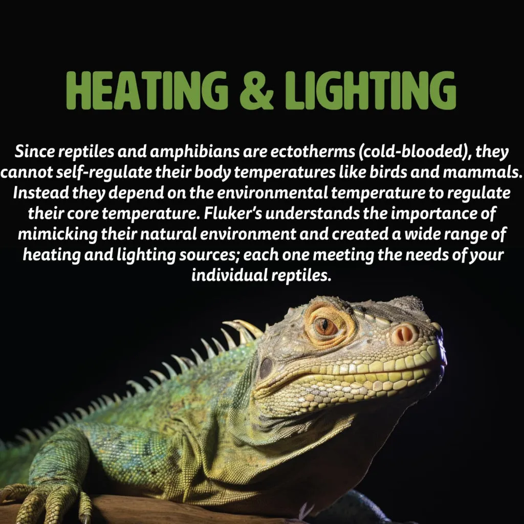 Fluker's Red Heat Bulb Incandescent Light for Reptiles