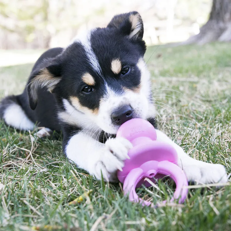 KONG Puppy Binkie Small Dog Toy