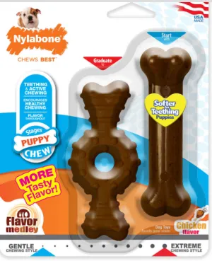 NylaBone Just for Puppies Teething Chew Toy / MEDIUM / Chicken Flavor Medley