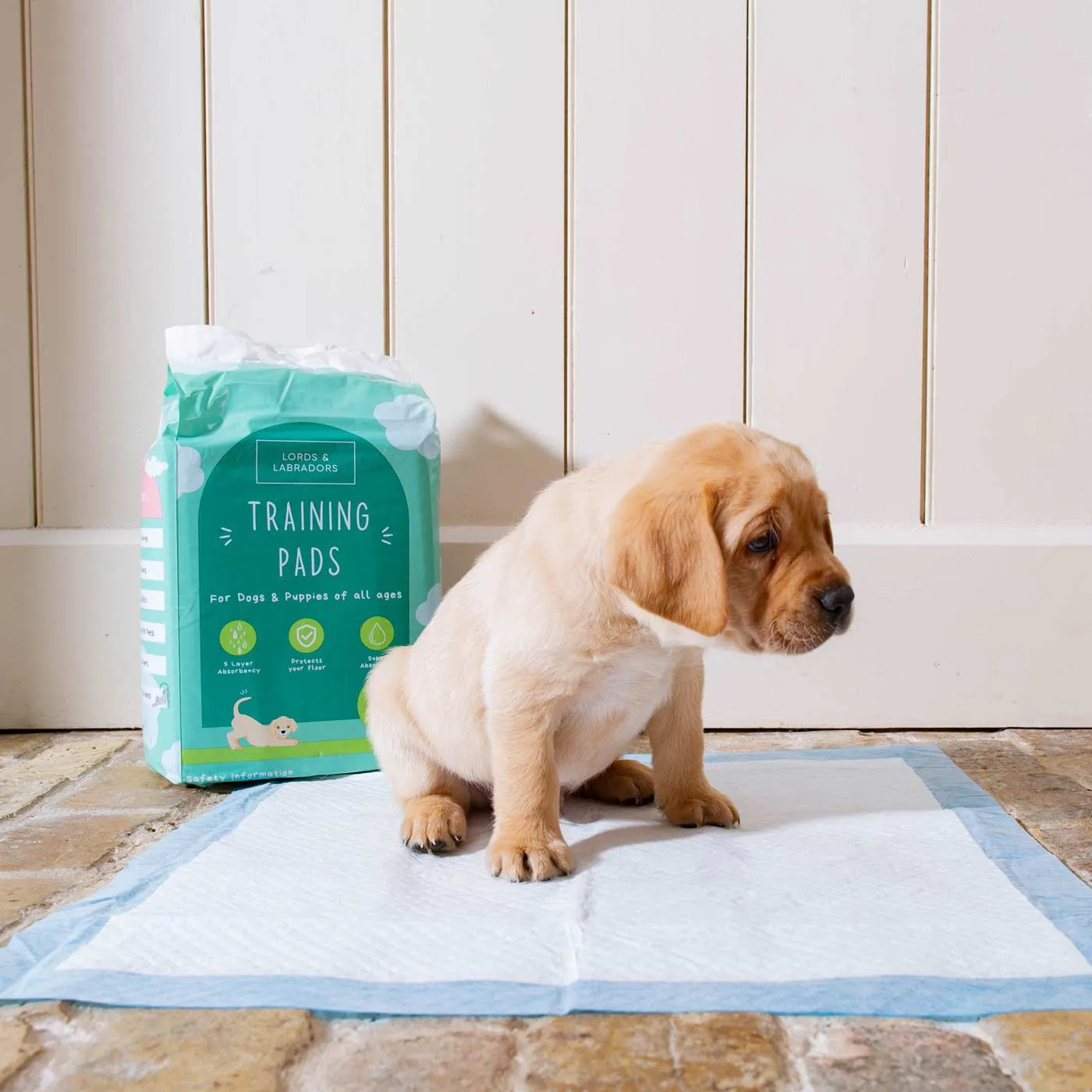 Puppy Training Pads Triple Pack by Lords & Labradors