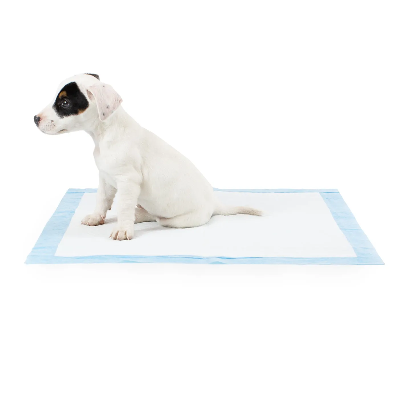 Puppy Training Pads Triple Pack by Lords & Labradors