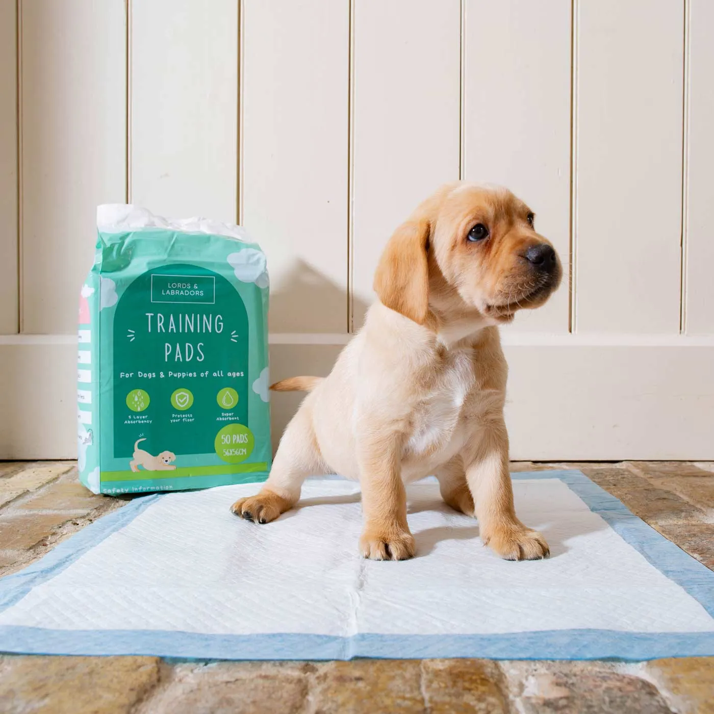 Puppy Training Pads Triple Pack by Lords & Labradors