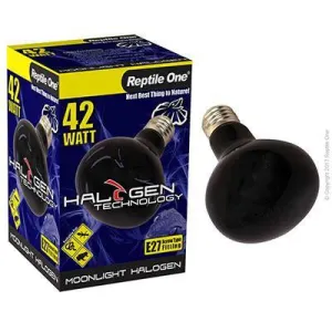 Reptile One Halogen Moonlight 42W