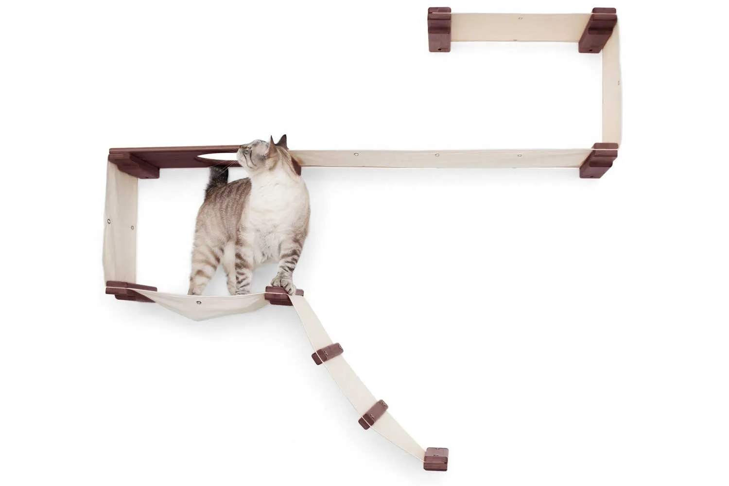 The Play Cat Condo - A Wall-Mounted Cat Tree - by Catastrophic Creations