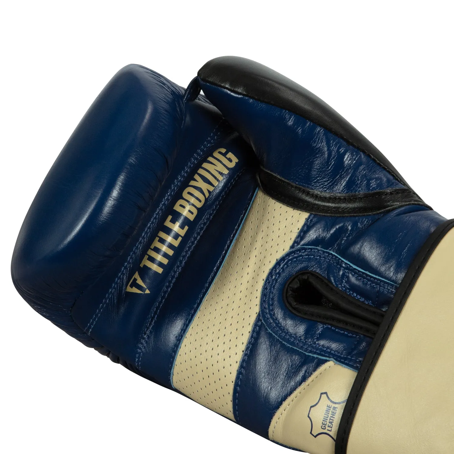 TITLE Boxing Rock Steady Leather Training Gloves