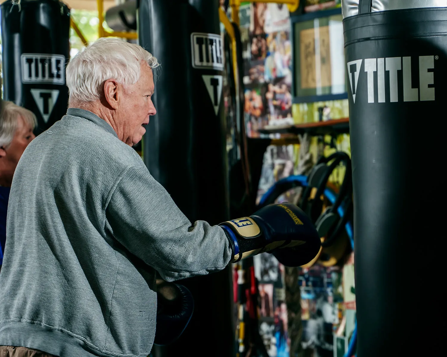 TITLE Boxing Rock Steady Leather Training Gloves